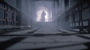 The Lady Assassin