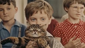 When the Cat Comes
