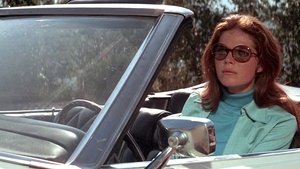 The Lady in the Car with Glasses and a Gun