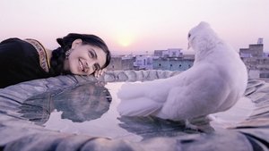 दिल्ली ६