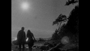 Moonlight People