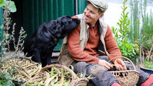 Frank & Kastaniegaarden