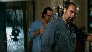 Il barbiere di Rio