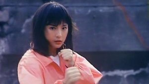 新龍爭虎鬥