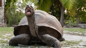 Aldabra: Byl jednou jeden ostrov