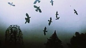 Seasons