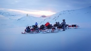 Osa polar: Cómo se hizo