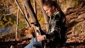 Die Chaosschwestern und Pinguin Paul