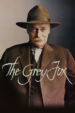 El zorro gris