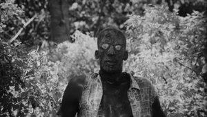 Zombies