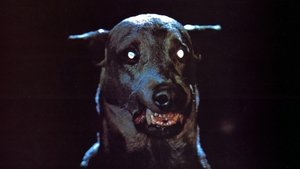 El perro de Satán (Zoltan)
