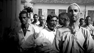 Brazilian Holocaust