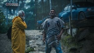 Domingo and the Mist