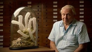El Arca de David Attenborough