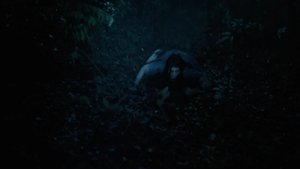 Island of Death