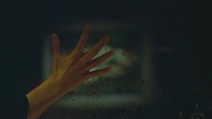 L'uomo, la donna e la bestia - Spell (Dolce mattatoio)