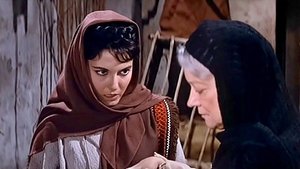 The Story of Ruth