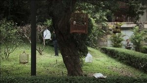A Última Vez Que Vi Macau