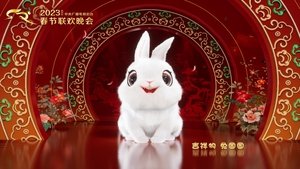 中央广播电视总台春节联欢晚会