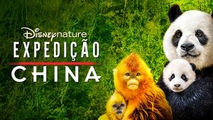 Expedition China