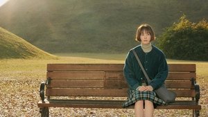 박하경 여행기