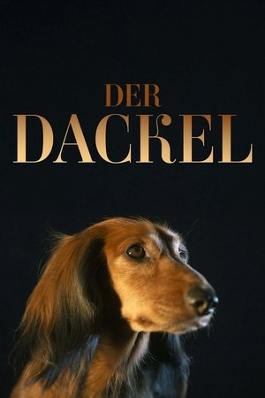The Dachshund