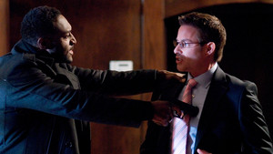 Ice Blues: A Donald Strachey Mystery