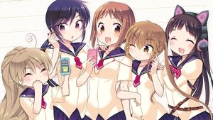 Okusama ga Seitokaichou!
