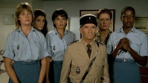 El loco, loco mundo del gendarme
