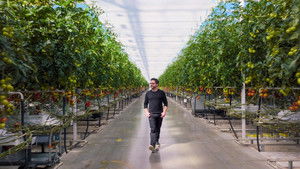 A Brief History of the Future