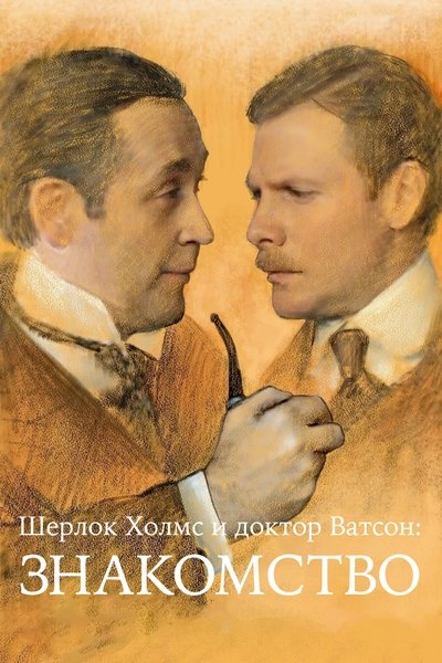Sherlock Holmes and Dr. Watson: Acquaintance