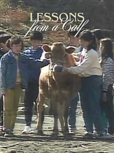 Lessons from a calf