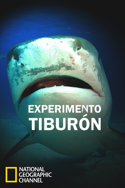 Experimento tiburon al ataque