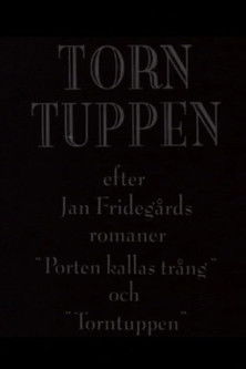 Torntuppen