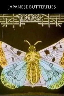 Las mariposas japonesas