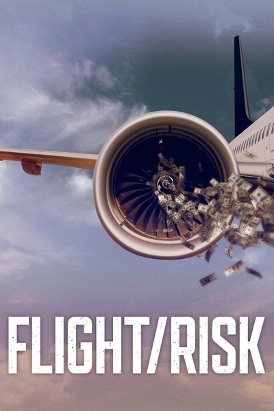 PELIGRO EN EL VUELO