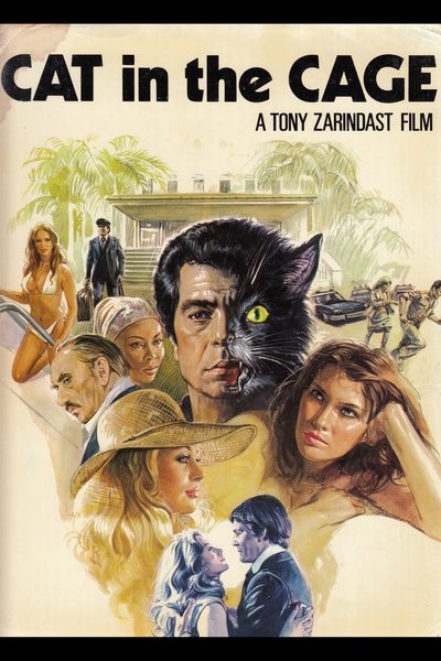 El gato
