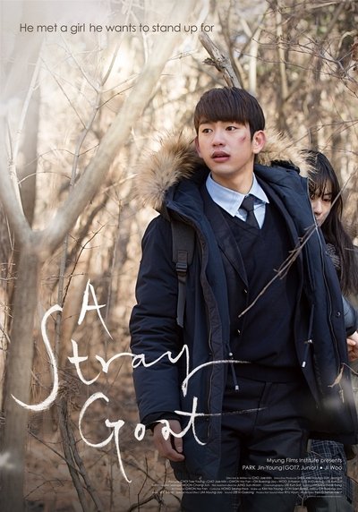 Copos De Nieve // A Stray Goat