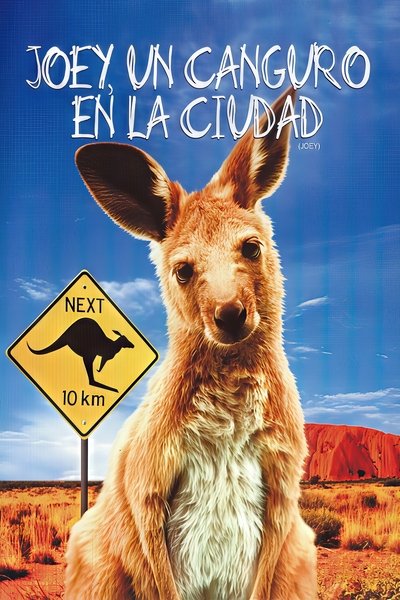 Joey, un canguro en la ciudad