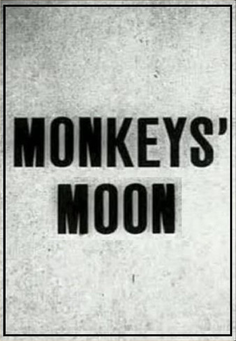 Monkey's Moon