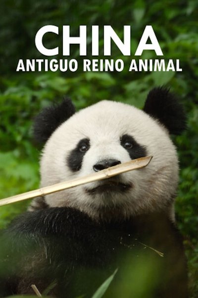 China: Antiguo reino animal