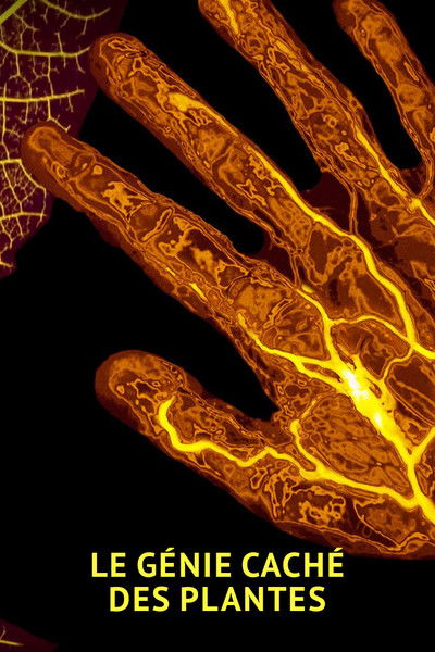 The amazing abilities of plants