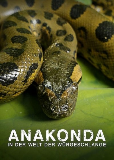 Anaconda: Asesino sigiloso