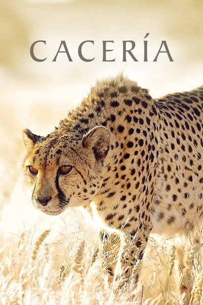 La caza