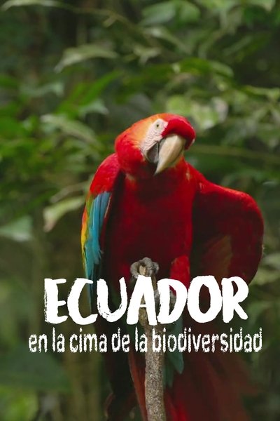 Ecuador: On the Wild Side
