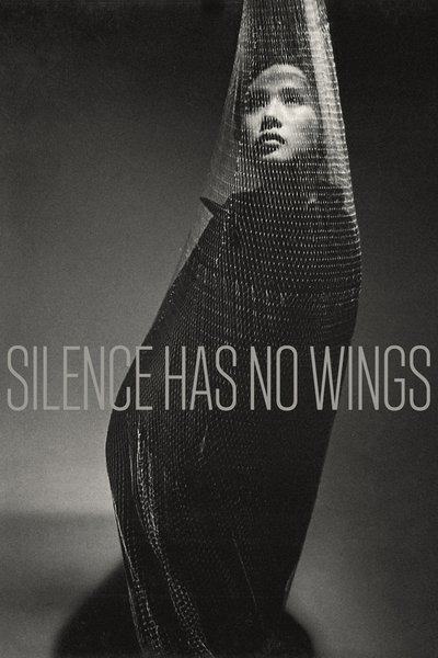El silencio no tiene alas