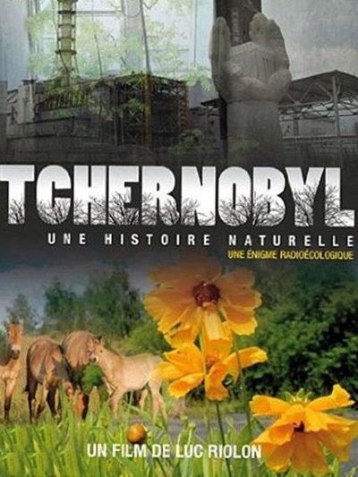Chernóbil, ¿una historia natural? un enigma radioactivo