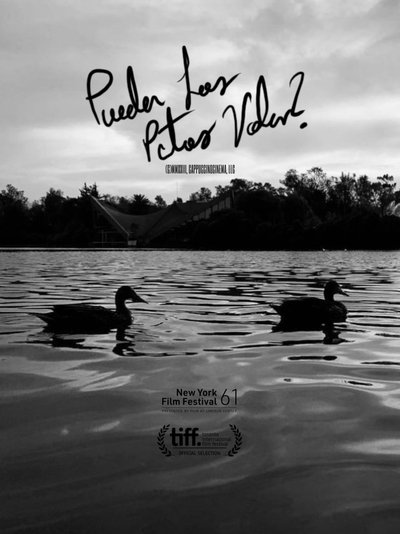 Pueden Los Patos Volar?