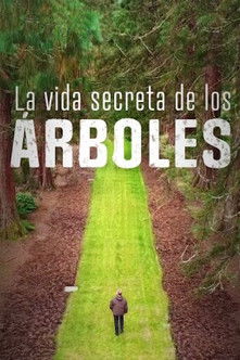 La vida secreta de los árboles