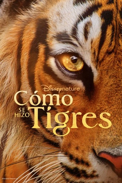 El resurgir de los tigres